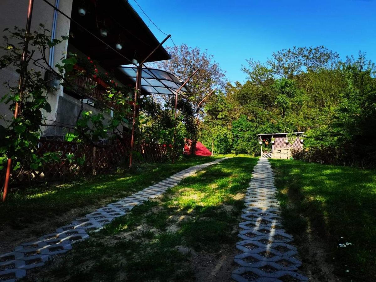 Casa de vacanta Zsenik Vendeghaz Sovata Exterior foto