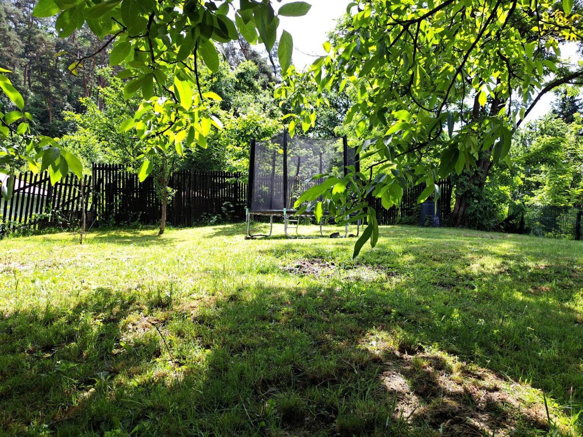 Casa de vacanta Zsenik Vendeghaz Sovata Exterior foto